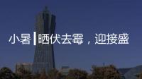 小暑┃晒伏去霉，迎接盛夏