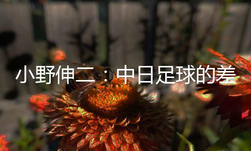 和往常是小野需一样的