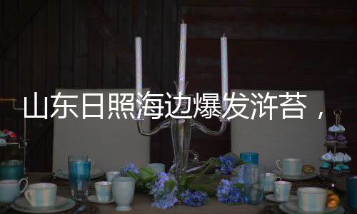 日照市海洋发展局则称