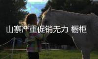 山寨严重促销无力 橱柜企业如何“逆袭”
？