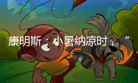 康明斯
	：小暑纳凉时
，“芯”静自然强