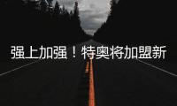 快排公司十年历程，霸屏兔 seo 的崛起与坚守