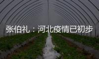 张伯礼：河北疫情已初步得到抑制 整体形势可控