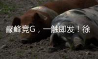 巅峰竞G，一触即发
！徐工挖机掀起潇湘大地竞技热潮