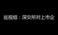 巡视组：深交所对上市企监管不力