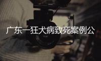 广东一狂犬病致死案例公布�，最新提醒→