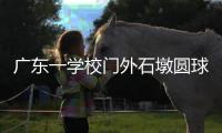 广东一学校门外石墩圆球加设钢管护栏，网友质疑多此一举
，学校回应：是出于安全考虑，加装为防车辆撞击