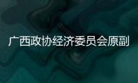 广西政协经济委员会原副主任余昌文接受审查调查