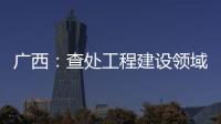 广西�：查处工程建设领域腐败问题440件 处分470人