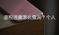 退税进度怎么查询？个人所得税汇算热点问答来啦！