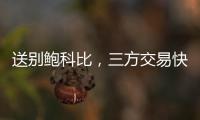 快排公司十年历程，霸屏兔 seo 的崛起与坚守