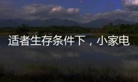适者生存条件下
，小家电品牌从细节入手控成本