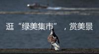 逛“绿美集市”，赏美景，珠海大小朋友文明游园过“双节”