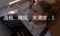造假、瞒报、未清缴，141条碳市场罚单里的秘密