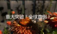 重大突破
！全球首例！