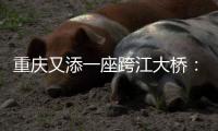 重庆又添一座跨江大桥
：马鞍石复线桥开工建设