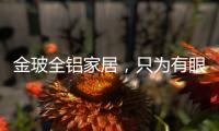金玻全铝家居，只为有眼光的你而来!