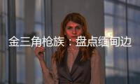 金三角枪族	：盘点缅甸边境的自制武器
