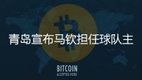 快排公司十年历程，霸屏兔 seo 的崛起与坚守