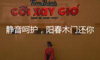静音呵护，阳春木门还你一个安静温馨的家