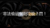 非法偷运餐厨垃圾
？罚！