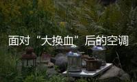 面对“大换血”后的空调能效新国标	，TCL T睿柔风空调赢得漂亮