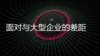 面对与大型企业的差距 中小小家电企业要做好部署