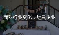 面对行业变化

，灶具企业的准确切入点在哪里?