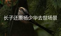 长子还原杨少华去世场景！头晕送医半路离世	，杨议隐瞒细节惹争议