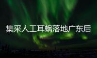 集采人工耳蜗落地广东后，哪些人最受益？