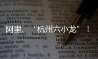 阿里、“杭州六小龙”
！澳琴组团赴杭招商	
，走访超20家知名企业