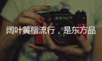 阔叶黄檀流行�，是东方品质生活的回归