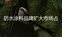 快排公司十年历程，霸屏兔 seo 的崛起与坚守