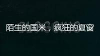 陌生的国米，疯狂的夏窗！净投入1亿欧，或有5000万欧豪购
！