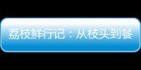 荔枝鲜行记	：从枝头到餐桌，中国重汽豪沃TS7冷藏车让鲜甜如约而至