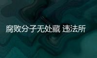 腐败分子无处藏 违法所得无处匿
