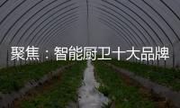 聚焦
：智能厨卫十大品牌2020年立足点在哪里?