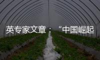 英专家文章
：“中国崛起见顶”是西方一厢情愿