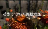英媒	：沙特方面批准纽卡高价签伊兰加，目标还包括格伊等国脚球员
