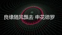 快排公司十年历程，霸屏兔 seo 的崛起与坚守