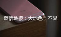 蓝信地板：大地色，不显眼，却很高级