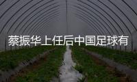 蔡振华上任后中国足球有什么变化