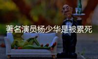 著名演员杨少华是被累死的？儿子杨议回应：那天问他“行吗”，他说不在家待着就行，“他跑腿跑了一辈子
，就喜欢出去溜溜！”