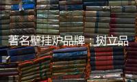 著名壁挂炉品牌：树立品牌形象 建立服务体系