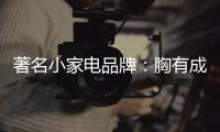 著名小家电品牌	：胸有成竹 实现和抓住“财富商机”