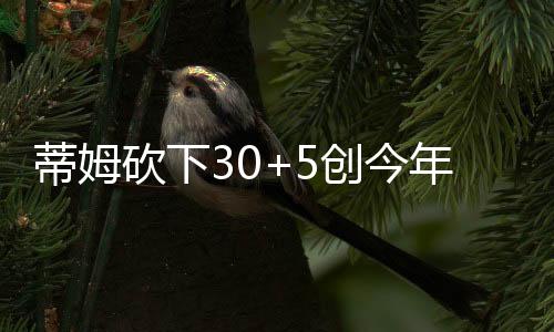 蒂姆外加5篮板和3助攻