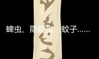 蜱虫、隐翅虫
、蚊子……夏季常见蚊虫如何应对