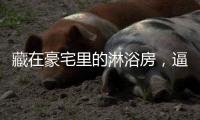 藏在豪宅里的淋浴房，逼格简直不要太高……
