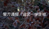 警方通报“渝北一学生被人贩子针扎后昏迷”	
：嫌疑人已被刑拘