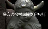 警方通报村民撞到狗被打：5名嫌疑人到案 犬主曾任村干部